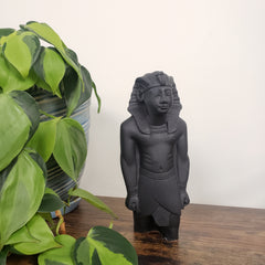 Black Ramses statue on a wooden surface with green plants in the foreground