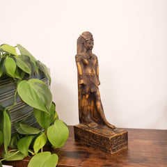 King Amunhotep Statue with green leaves in the foreground