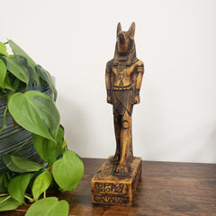 Decorative statue of the Egyptian god Anubis on a wooden surface with plants below.