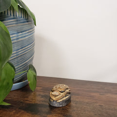 Decorative gold scarab statue on a wooden door with plants and striped fabric in the foreground.