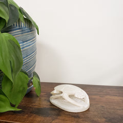 Decorative White soapstone scarab statue on a wooden surface with green leaves in the foreground