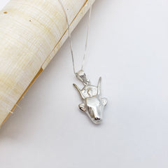 Silver pendant on a chain against a light background