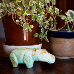 HIPPO PATINA MED - 5.5"