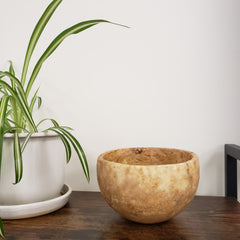 Brown stone bowl on a shelf with a plant in the foreground