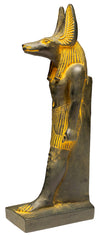 ANUBIS ANTIQUE GOLD LG - 7"