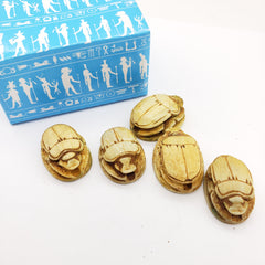 Egyptian Scarab Beads Set of 5 - Yellow Soapstone - Made in Egypt
