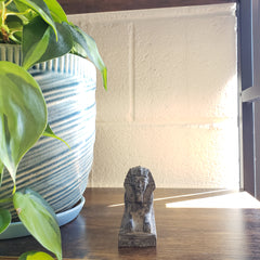 Plants in a pot with a light fixture and a small statue on a wooden surface.