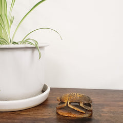 Decorative scarab statue with a plant and white ceramic item on a white background