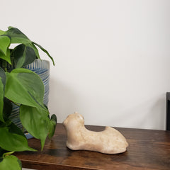 Decorative stone lion sculpture on a wooden shelf with a plant in the foreground