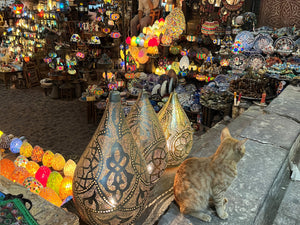 Egyptian Experience: Walking through Khan el Khalili Marketplace