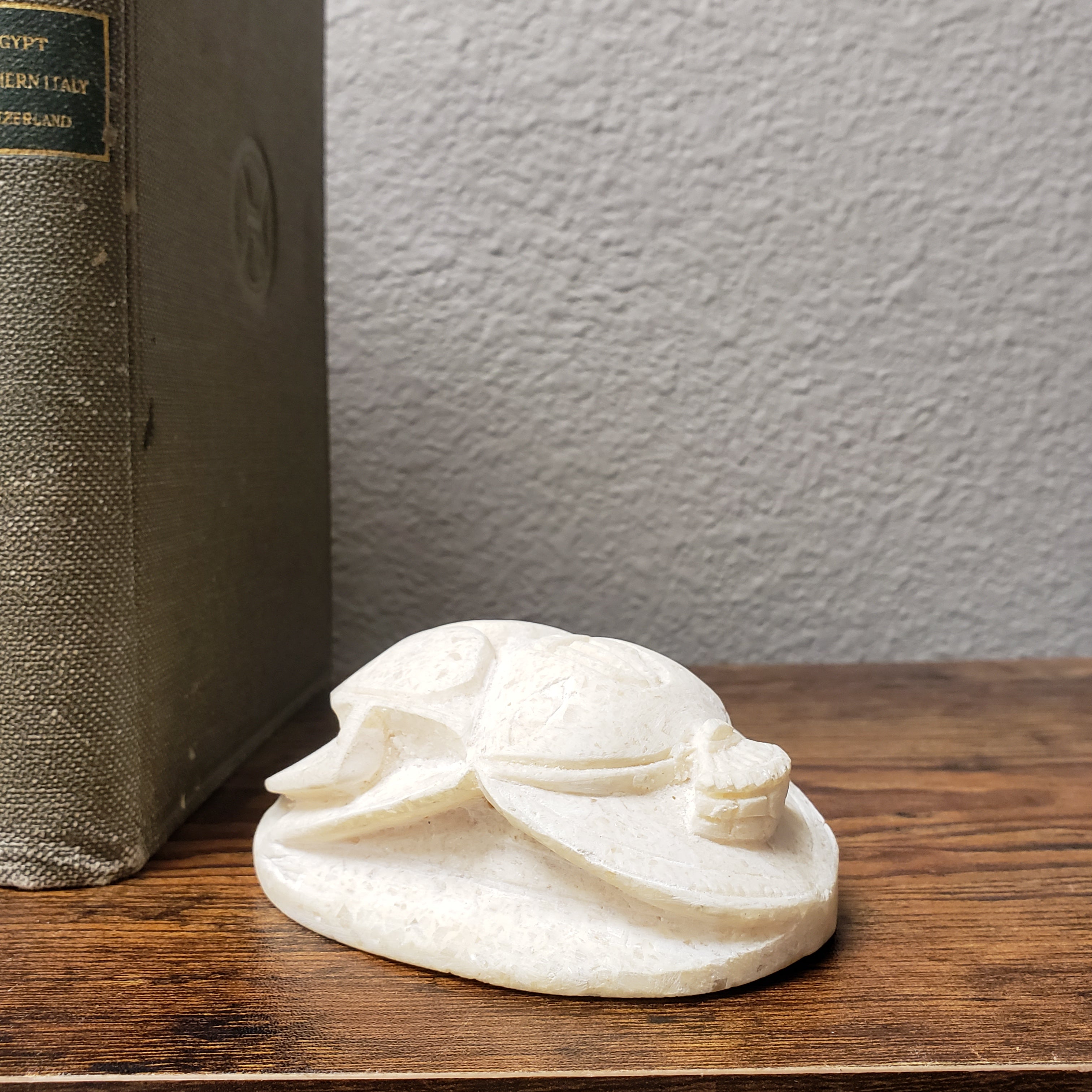 Decorative white shell on a wooden surface next to a book