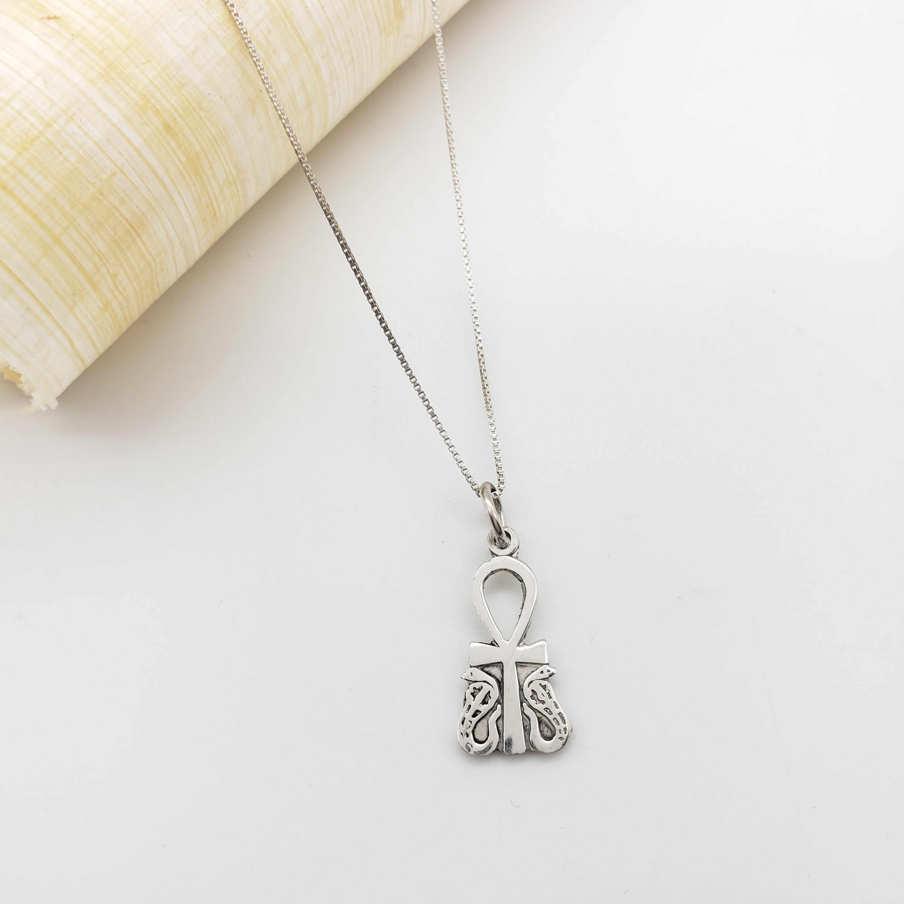 Silver an ankh and cobra necklace with a decorative clasp on a light background