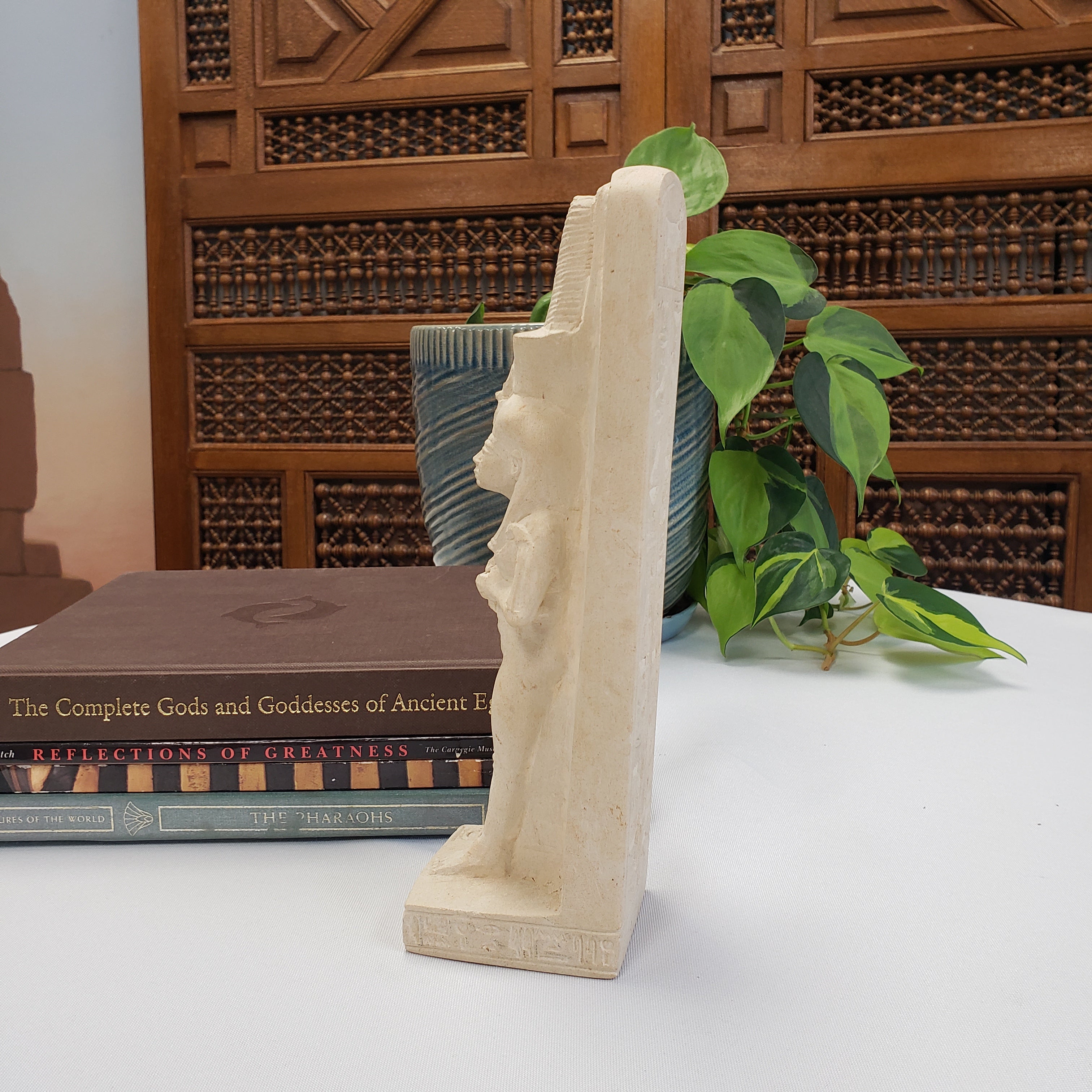 Decorative stone shelf with a plant against a wooden panel background