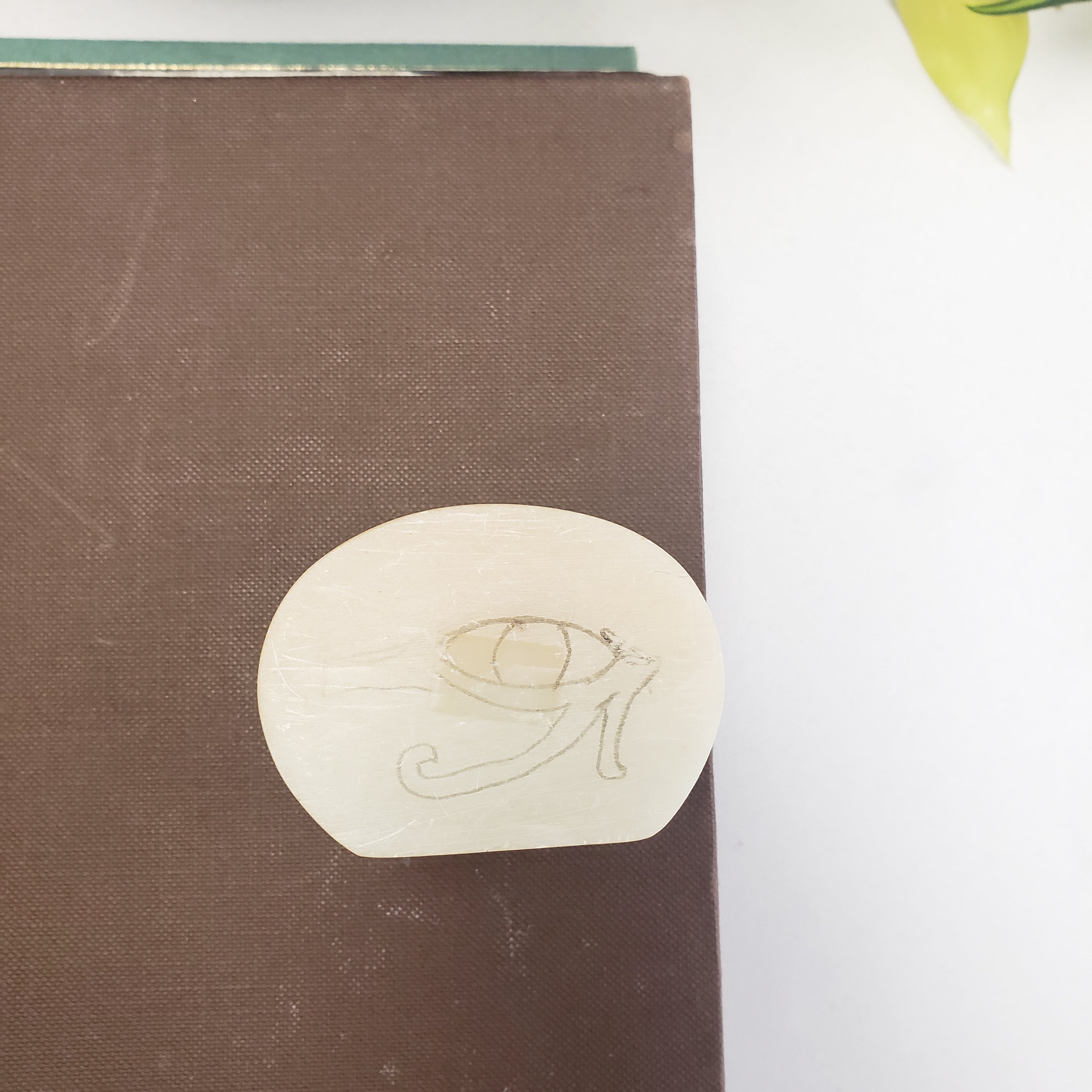 Brown book with a White soapstone box with an eye symbol on a white background