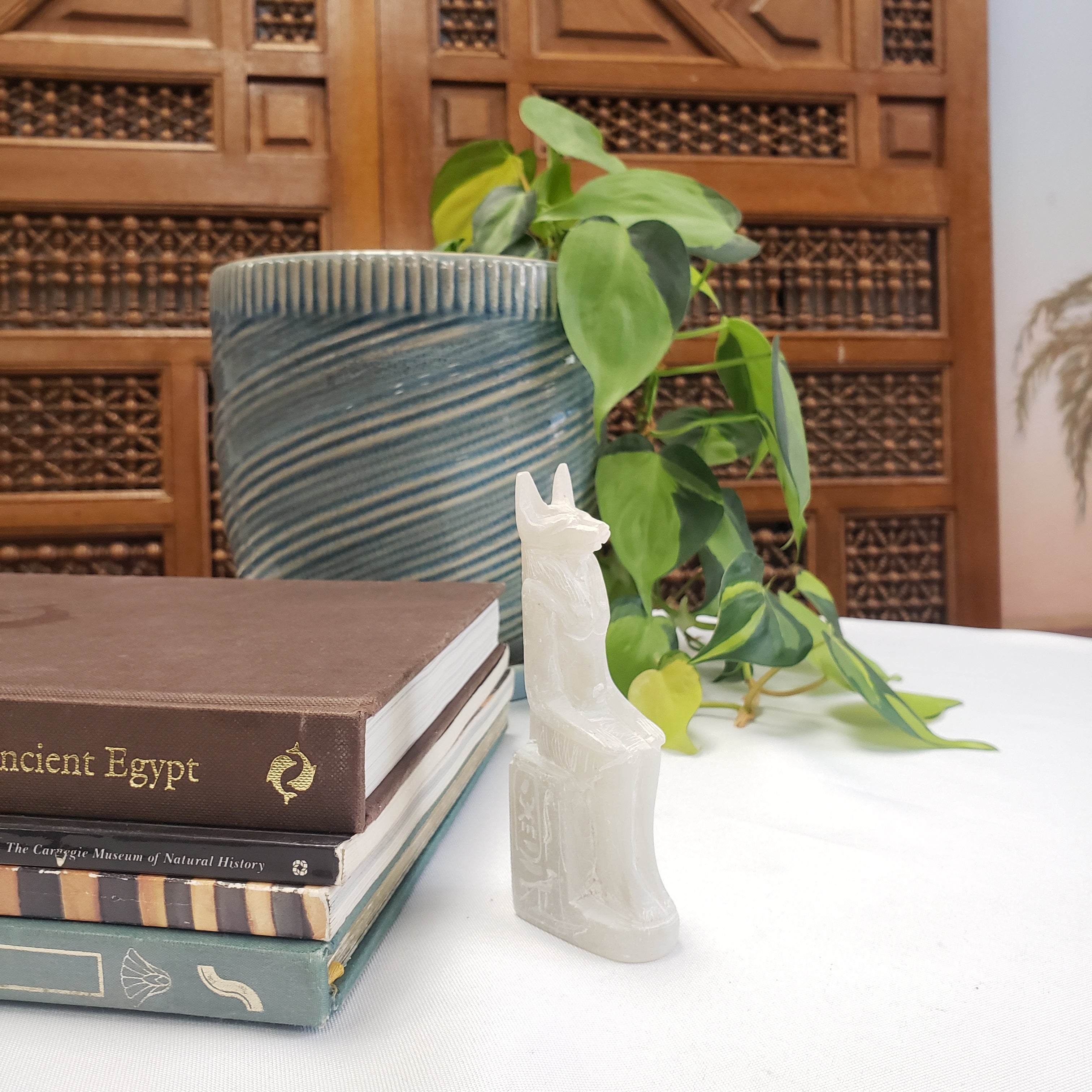 Decorative setup with books, a plant, and a decorative Anubis item on a wooden surface.