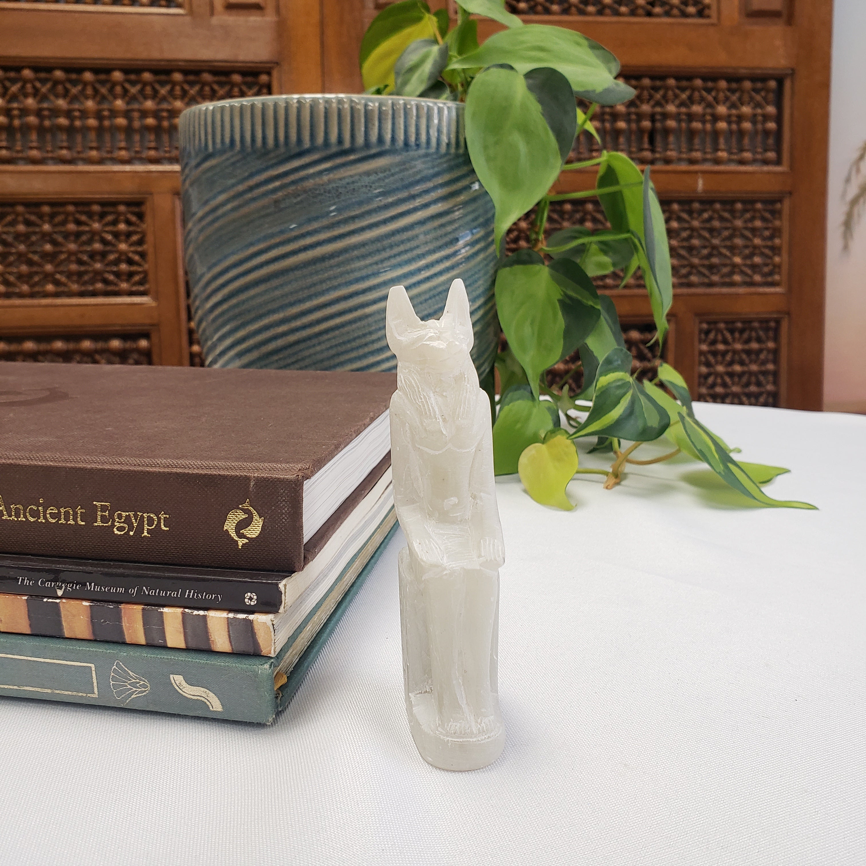 Decorative Anubis item on books with a plant and wooden panel in the background