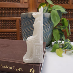 Decorative Anubis item with hieroglyphics on a book titled 'Ancient Egypt' with plants in the background.