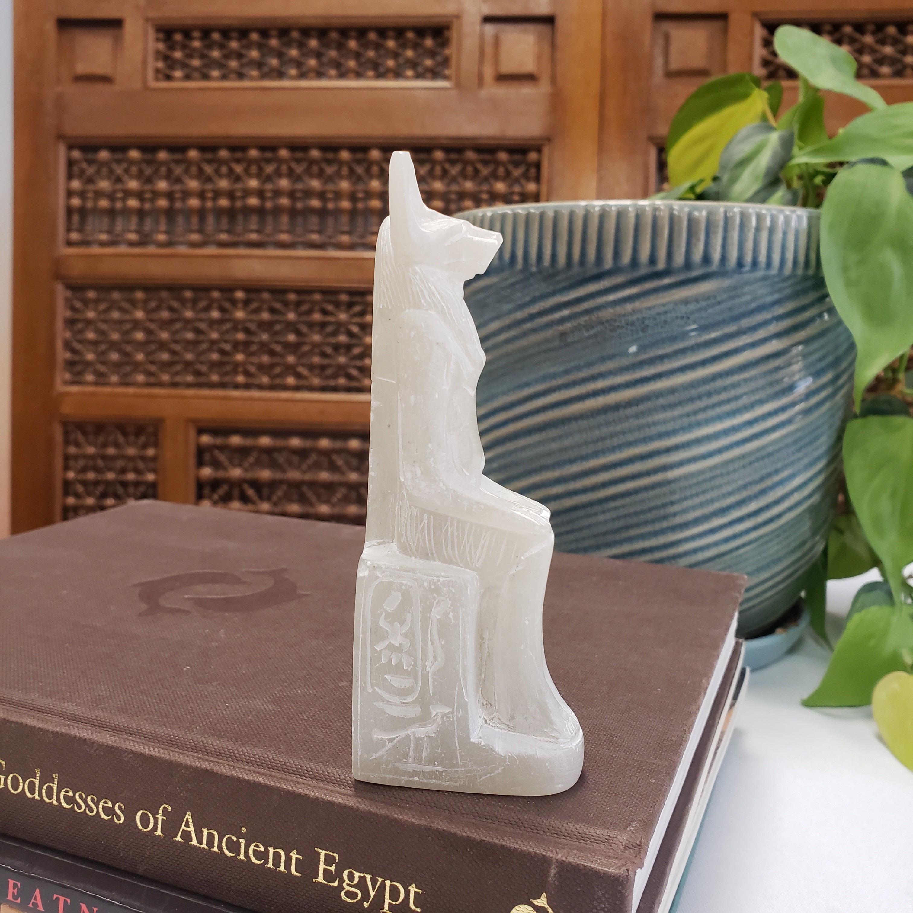 Decorative item on a book with a plant and wooden panel in the background