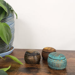 Three Egyptian scarab boxes on a wooden panel with plants in the foreground