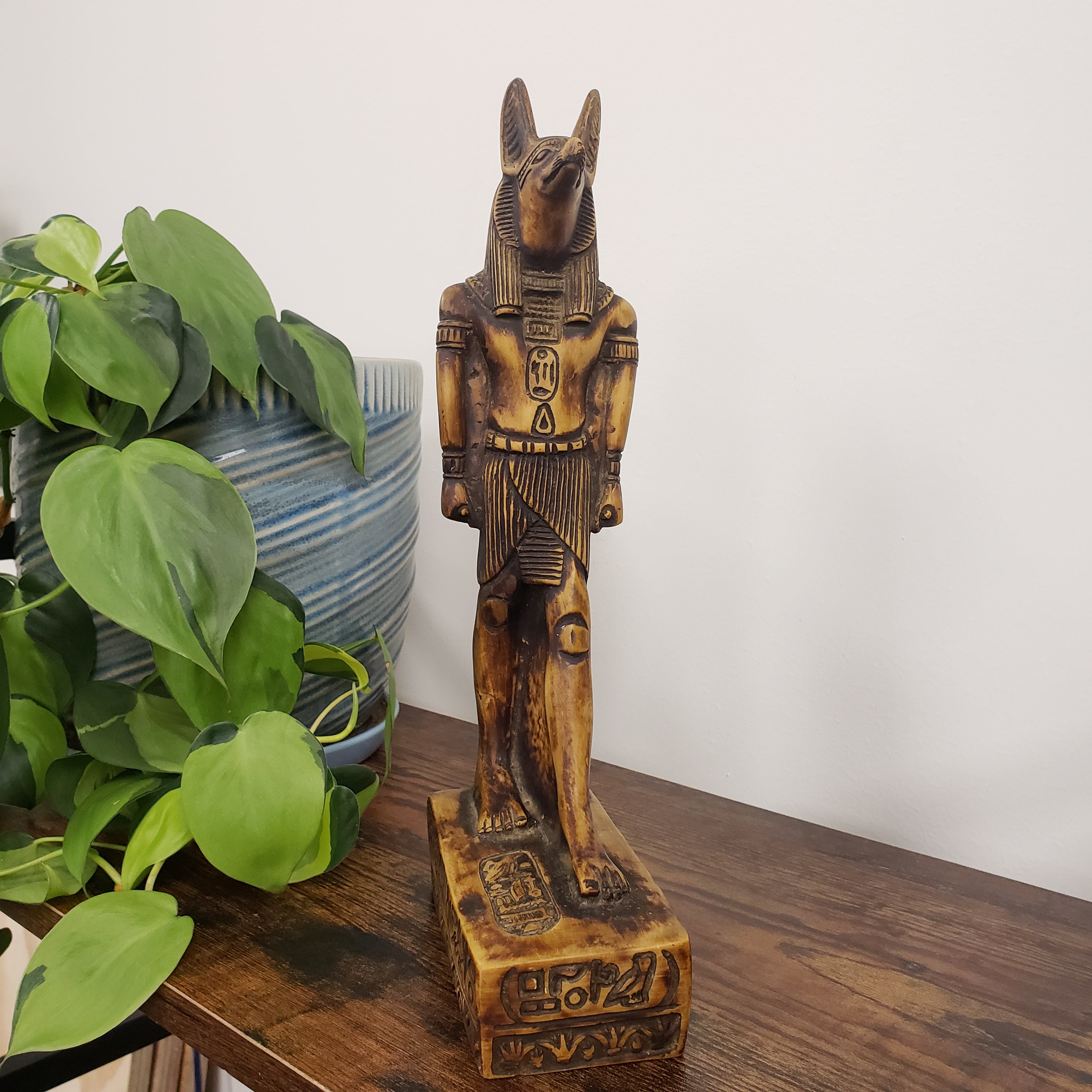 statue of the Egyptian god Anubis on a wooden surface with a plant in the foreground