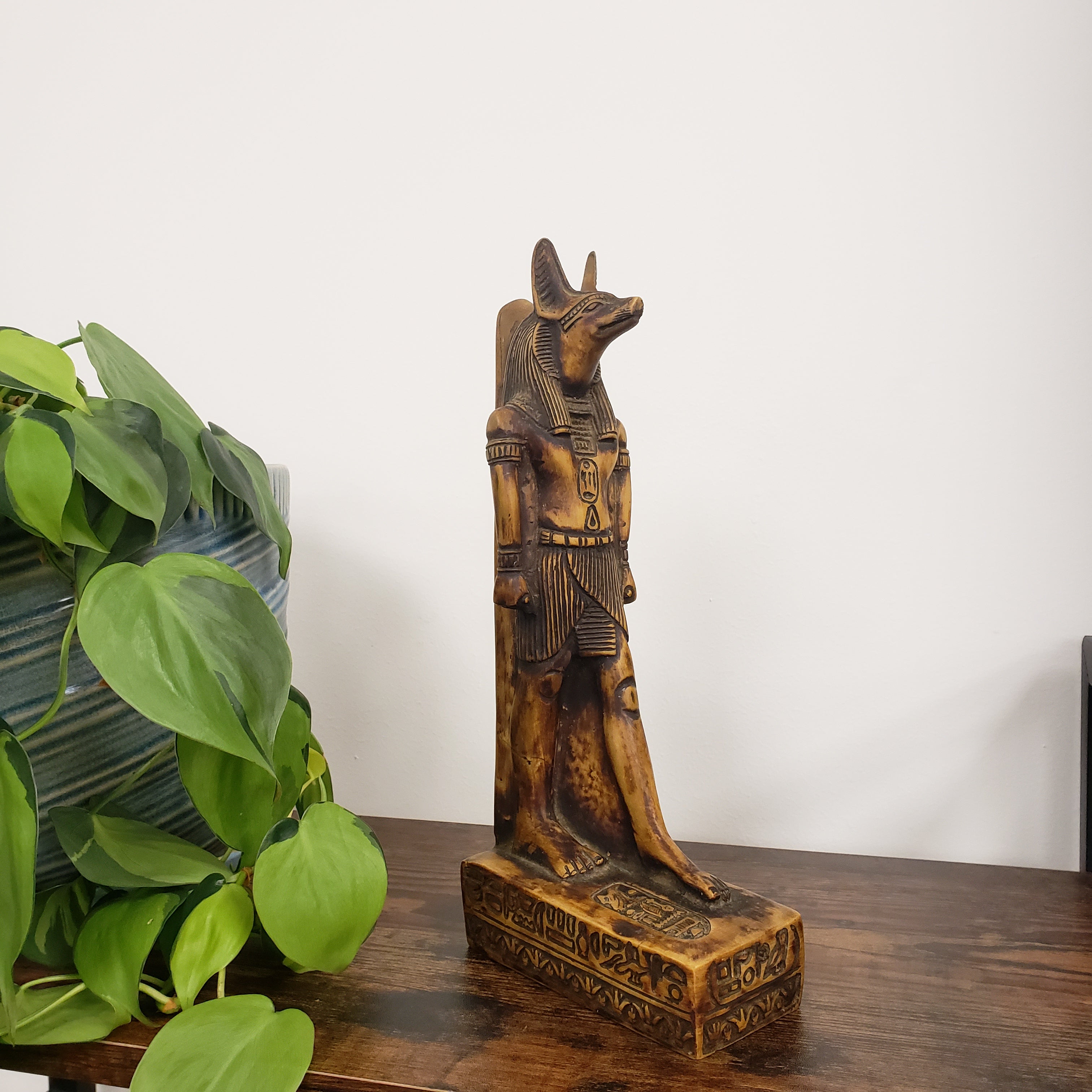 Decorative statue of the Egyptian god Anubis on a white wall with a plant in the foreground