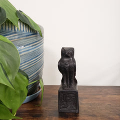 Decorative black falcon on a wooden surface with a plant and striped cushion in the foreground.
