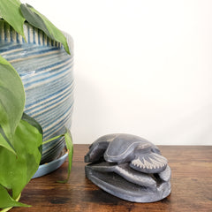 Decorative stone sculpture of a scarab on a wooden wall with plants in the foreground