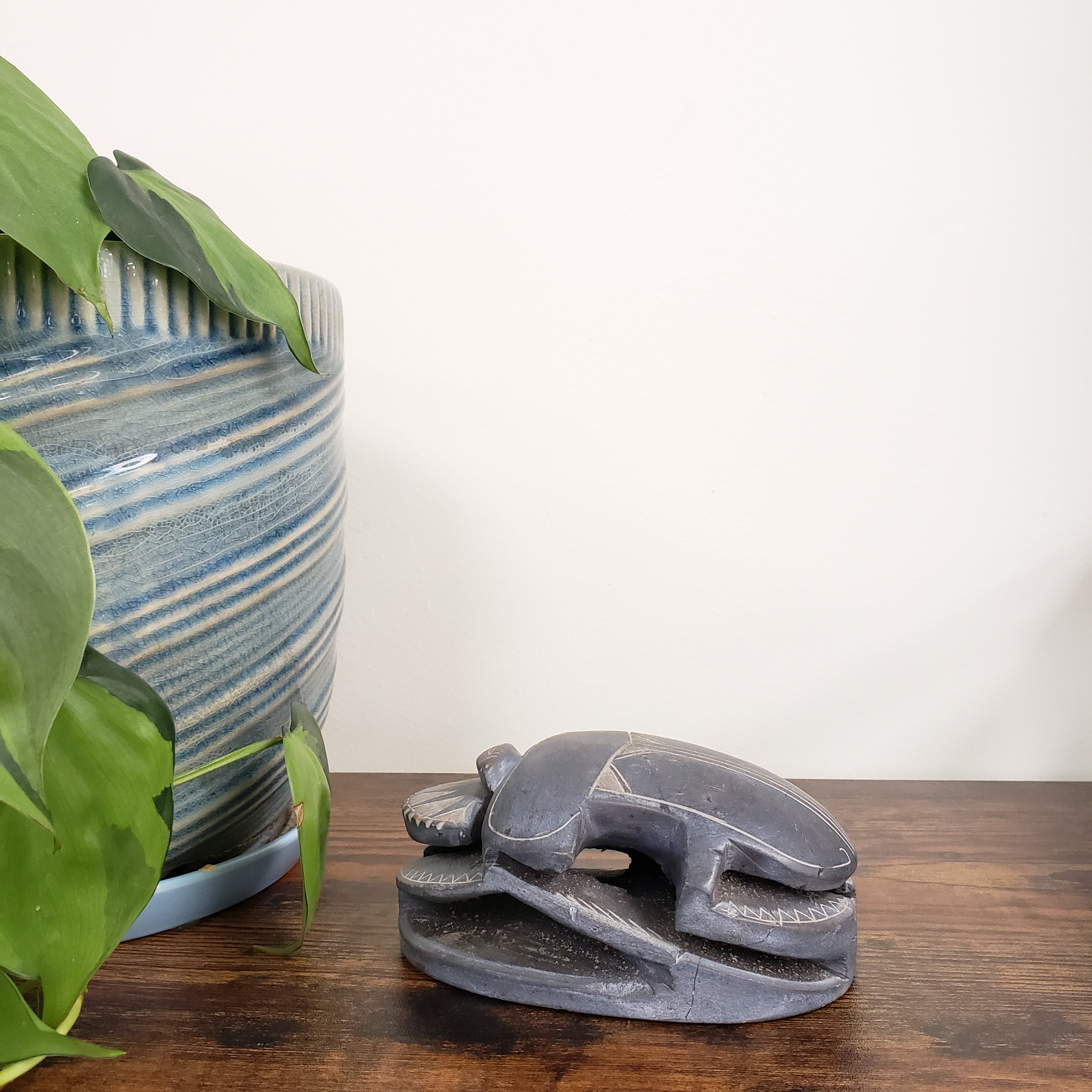 sculpture of a scarab on a wooden panel with a plant in the foreground