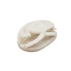White soapstone scarab statue on a white background