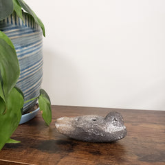Decorative stone Egyptian goddess Hathor Oil Lamp on a wooden panel with plants in the foreground