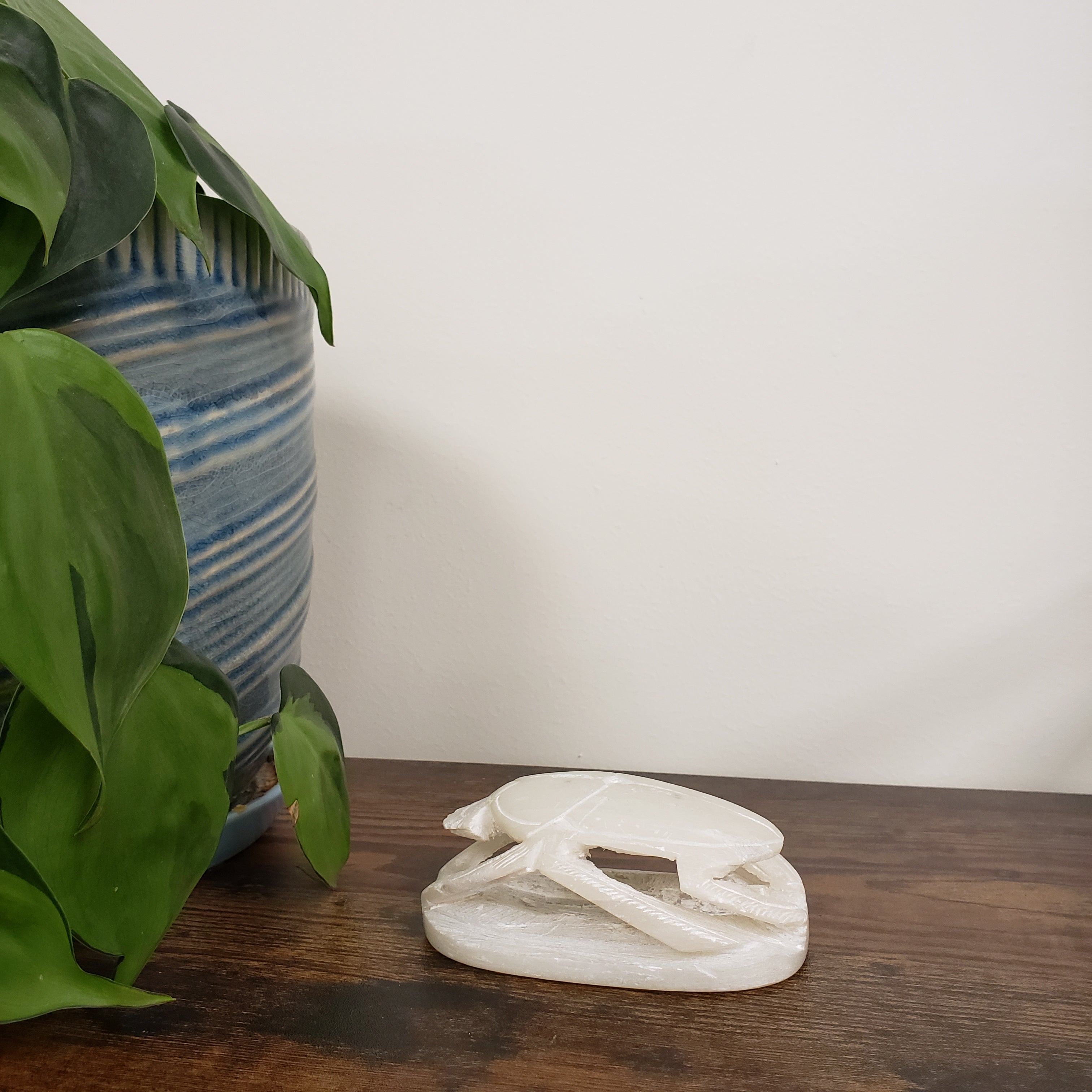 Decorative soapstone scarab statue on a wooden board, surrounded by green plants.