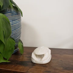 Decorative White soapstone scarab statue on a wooden surface with plants in the foreground.