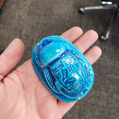 Blue scarab beetle held in a hand against a gray background