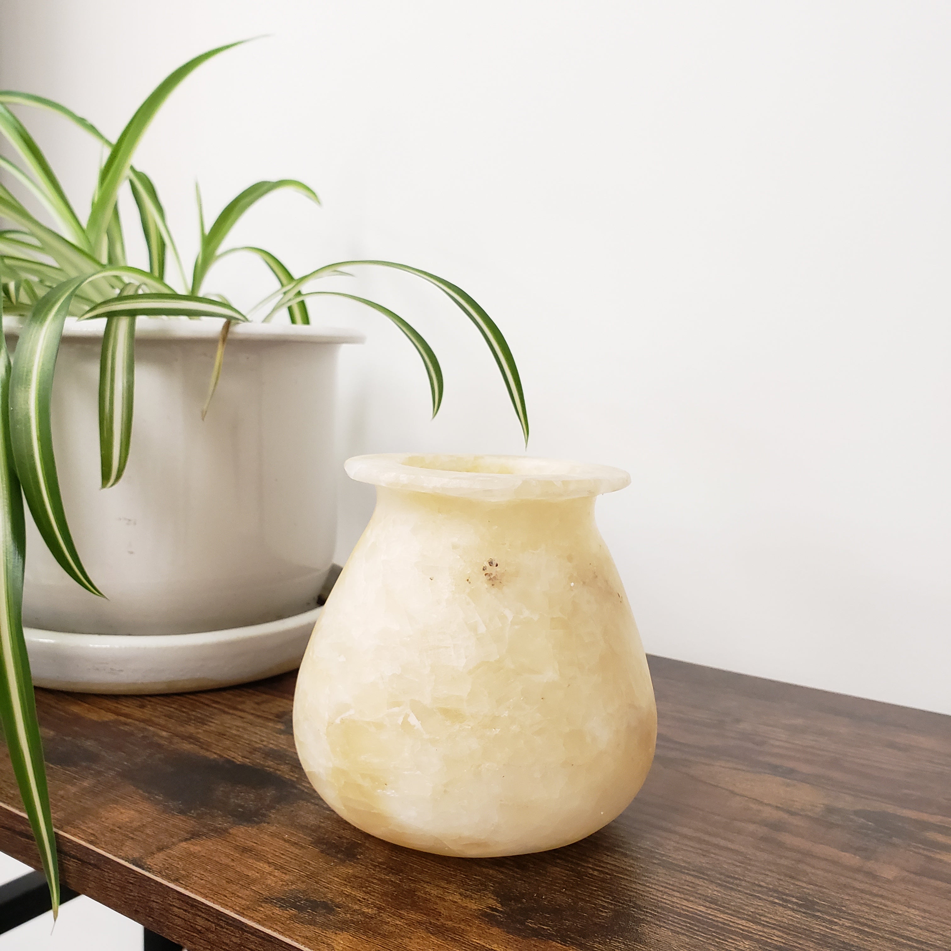 Small beige ceramic vase on a wooden surface with a plant in the foreground
