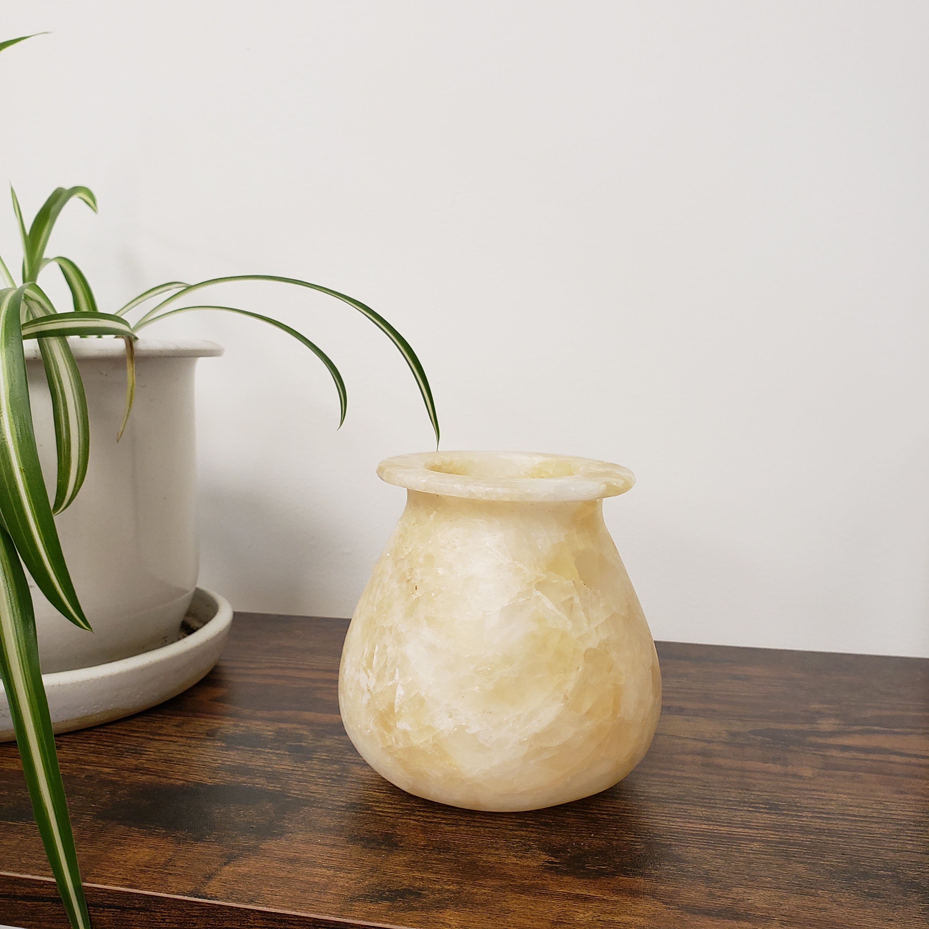 Decorative beige vase leaning against a wooden surface with a plant in the foreground.