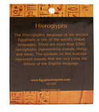 Egyptian Hieroglyphic Alphabet Bracelet - Brass and Faux Leather 