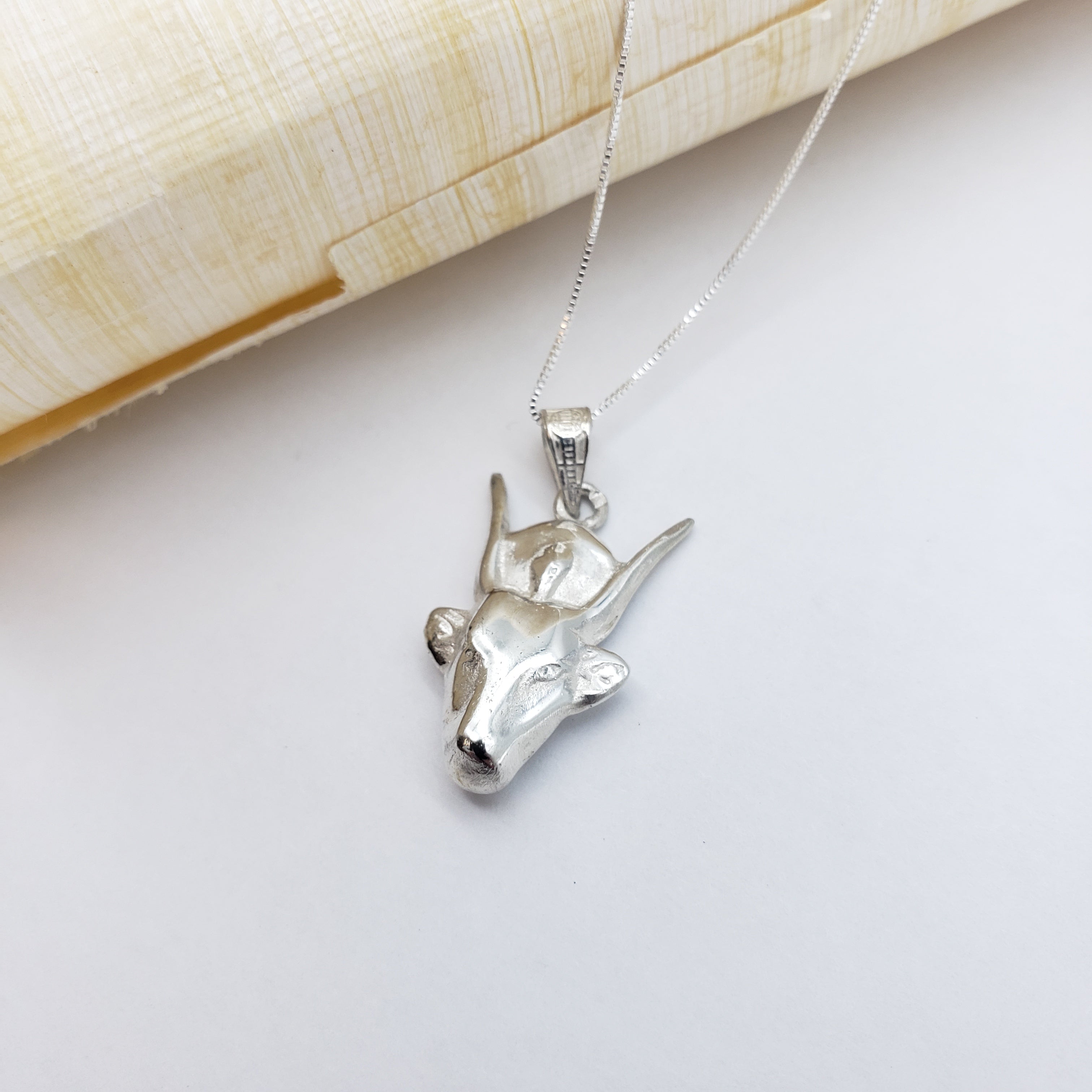 Silver bull head pendant on a chain against a light background