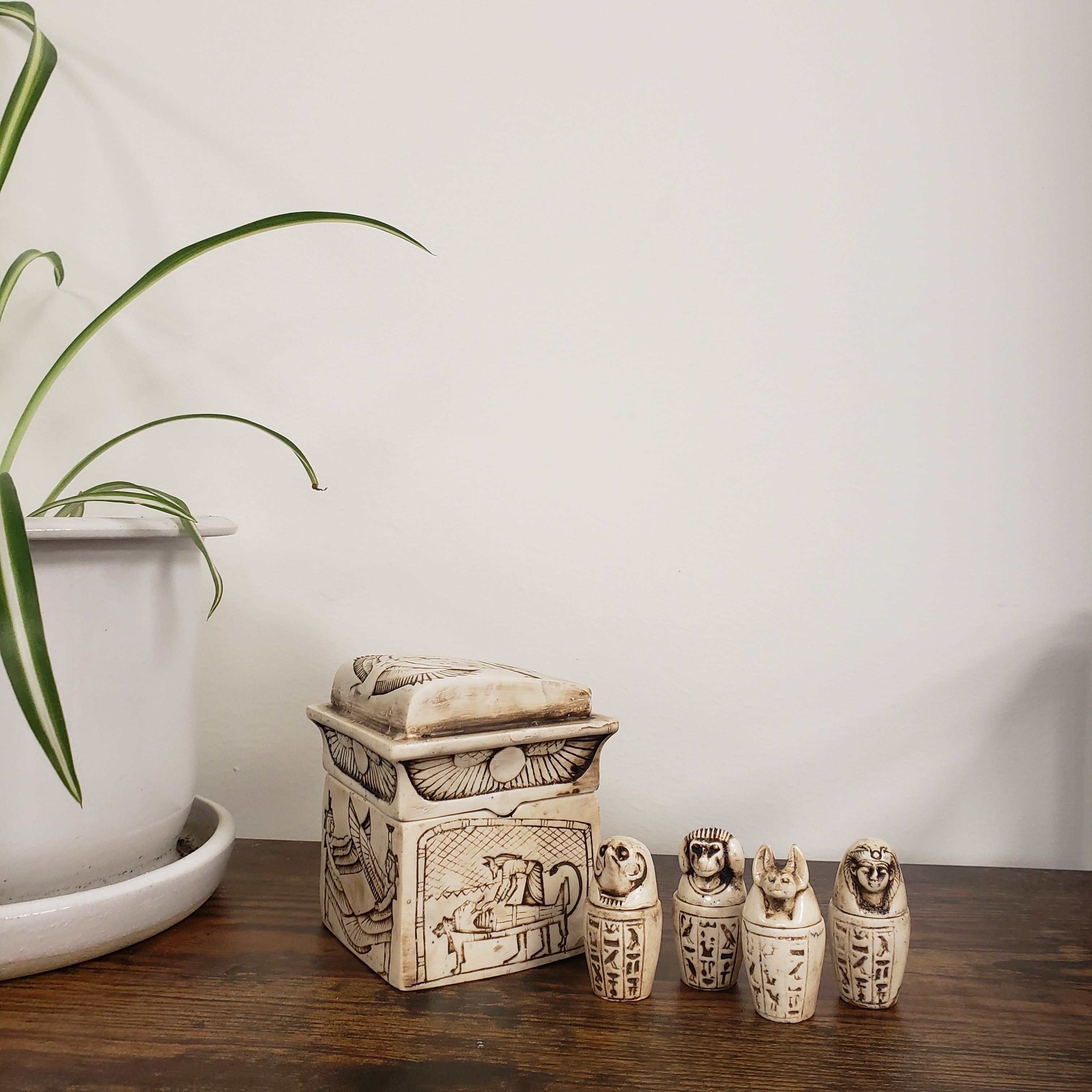Decorative wooden box with carvings on a white surface with a plant in the foreground