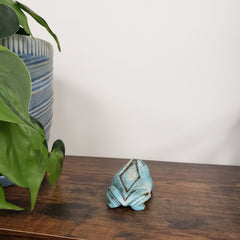 Decorative frog-shaped statue on a wooden door with a plant and striped cushion in the background.