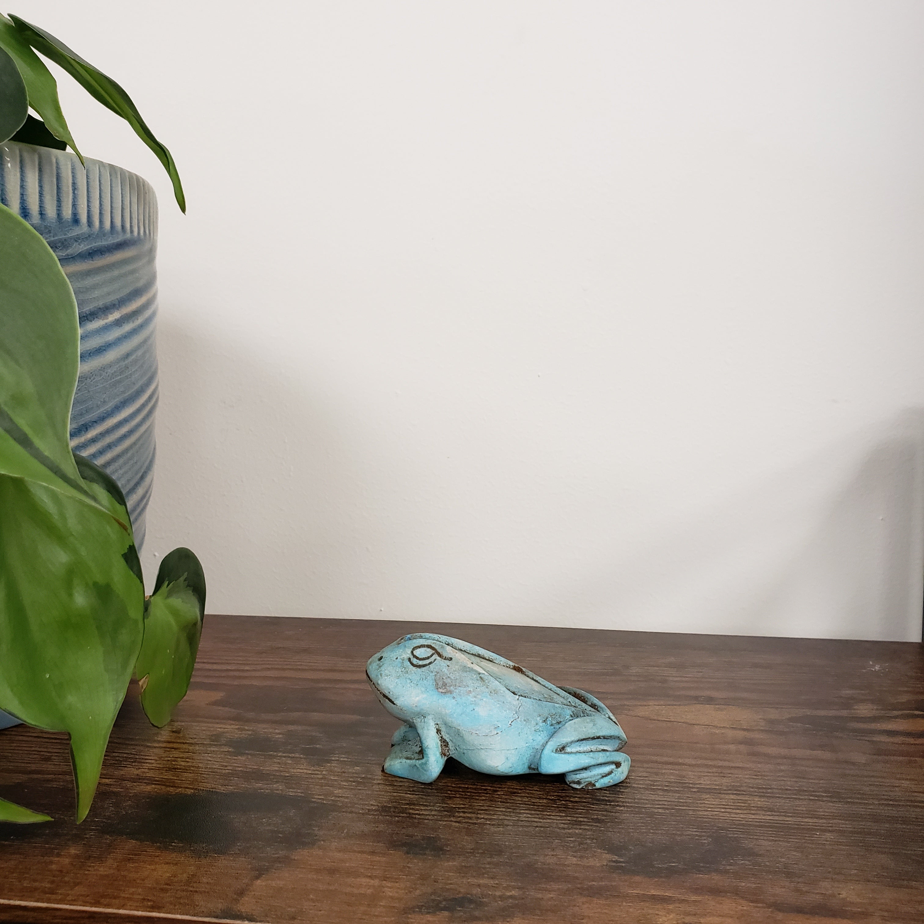 Blue frog figurine on a wooden surface with a plant in the background