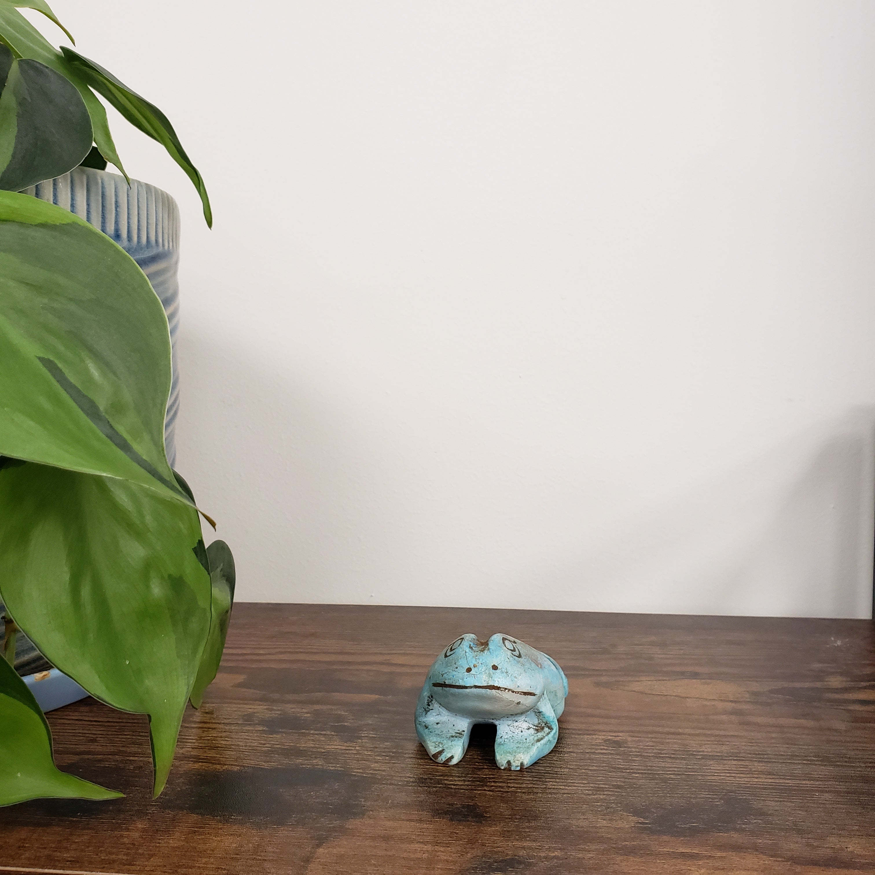 frog-shaped statue, plant leaves in the foreground