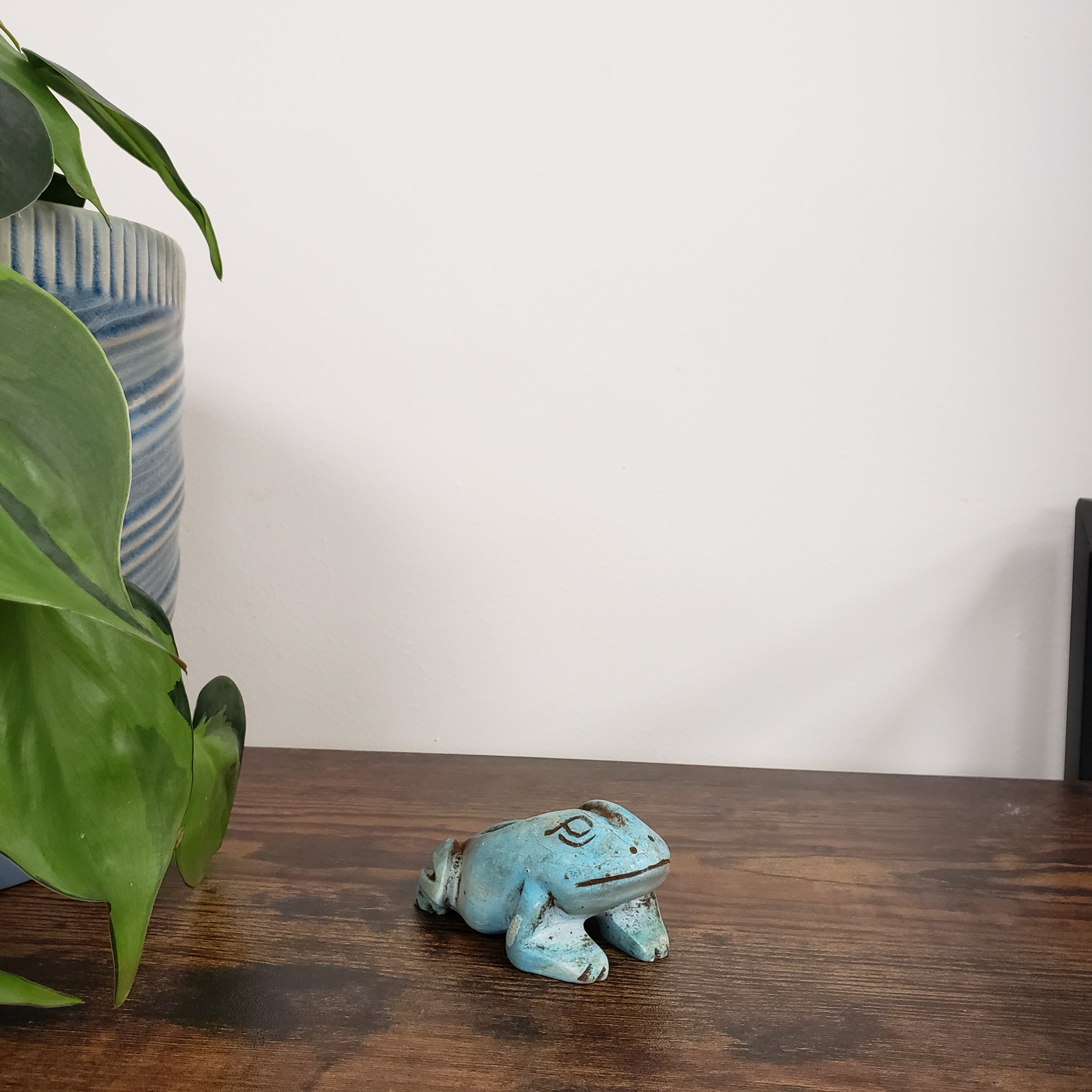 Decorative blue frog-shaped statue on a wooden door with plants and a striped cushion in the background.