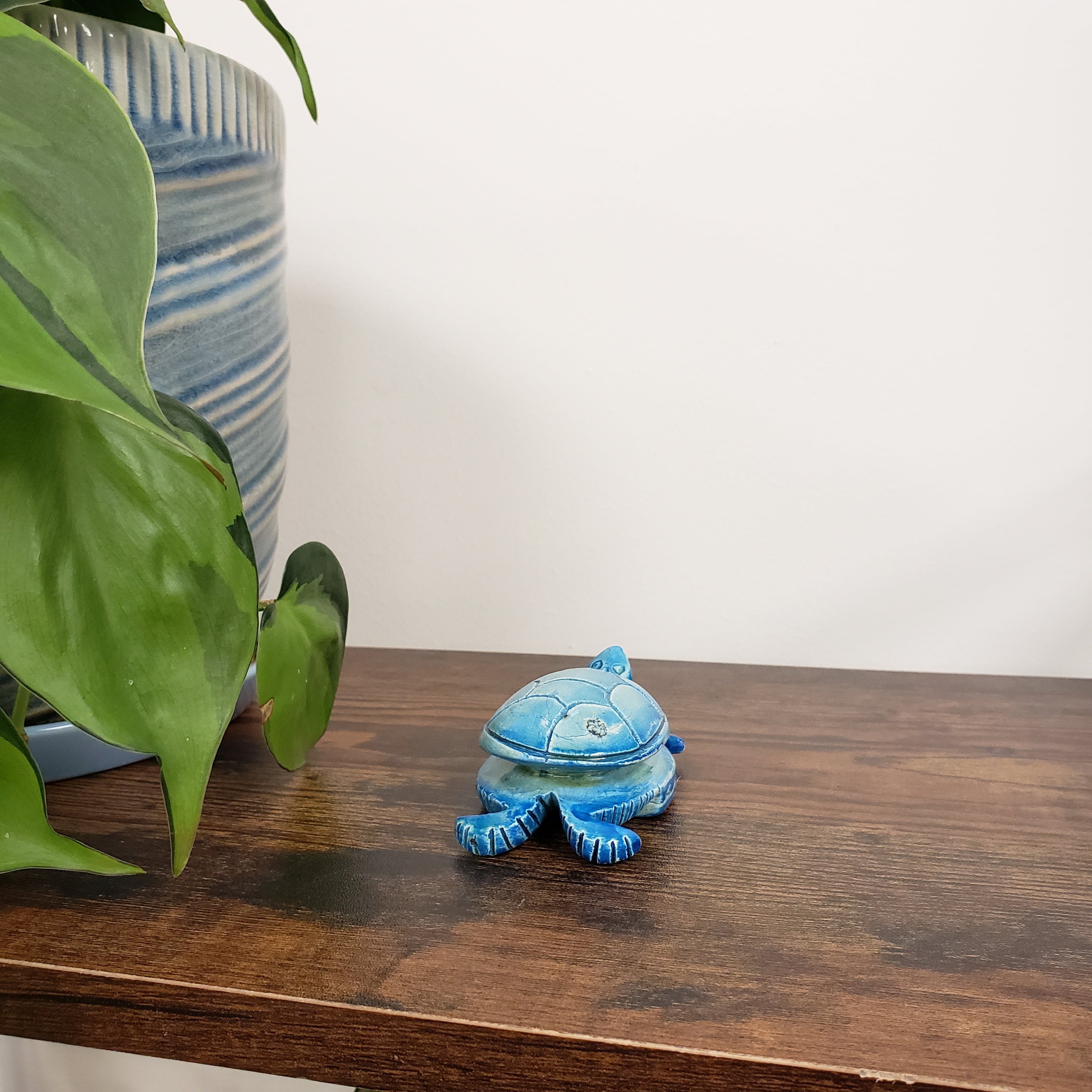 Blue ceramic turtle decorative item on a wooden surface with plants in the foreground