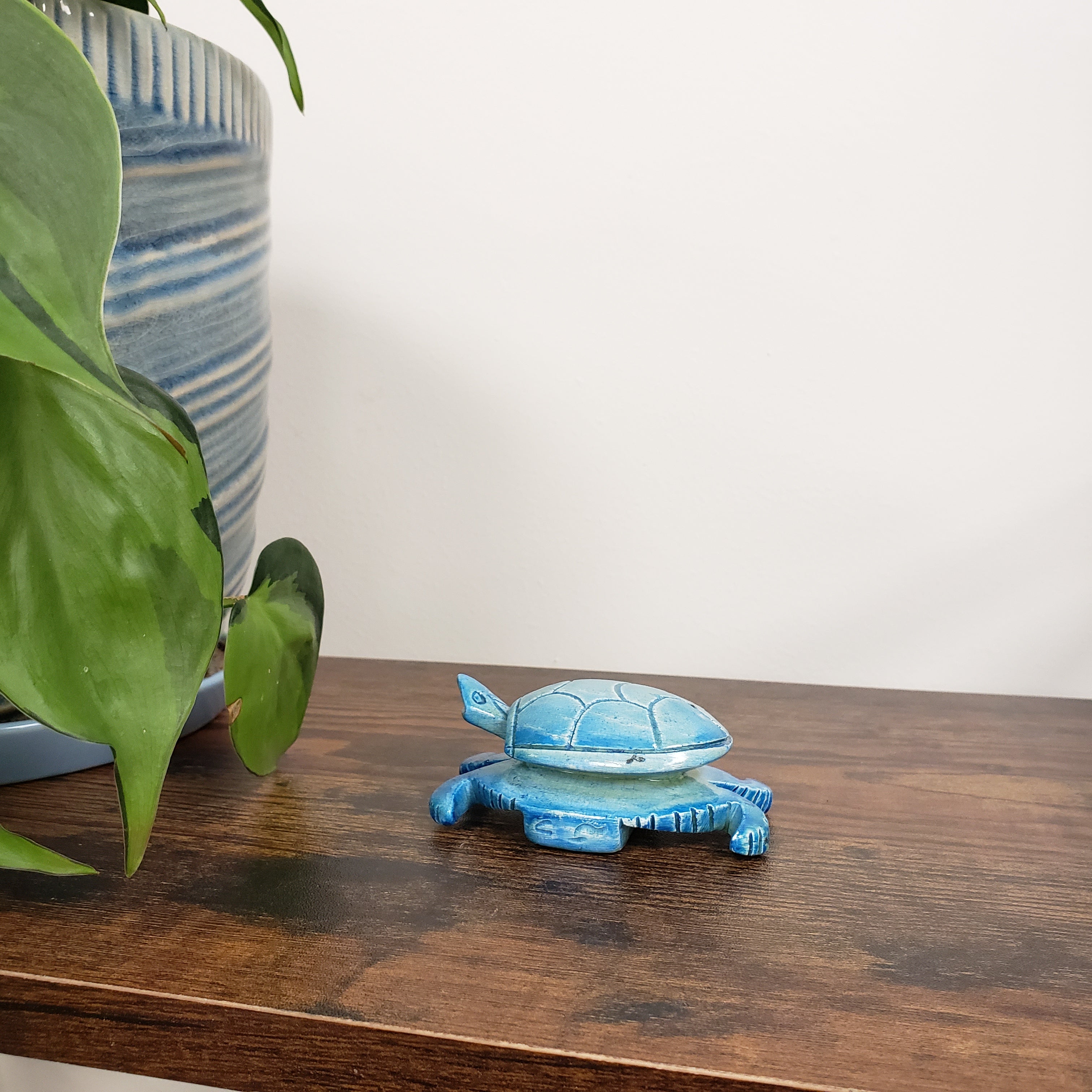 Blue turtle-shaped decorative item on a wooden door with a plant and striped fabric in the background.