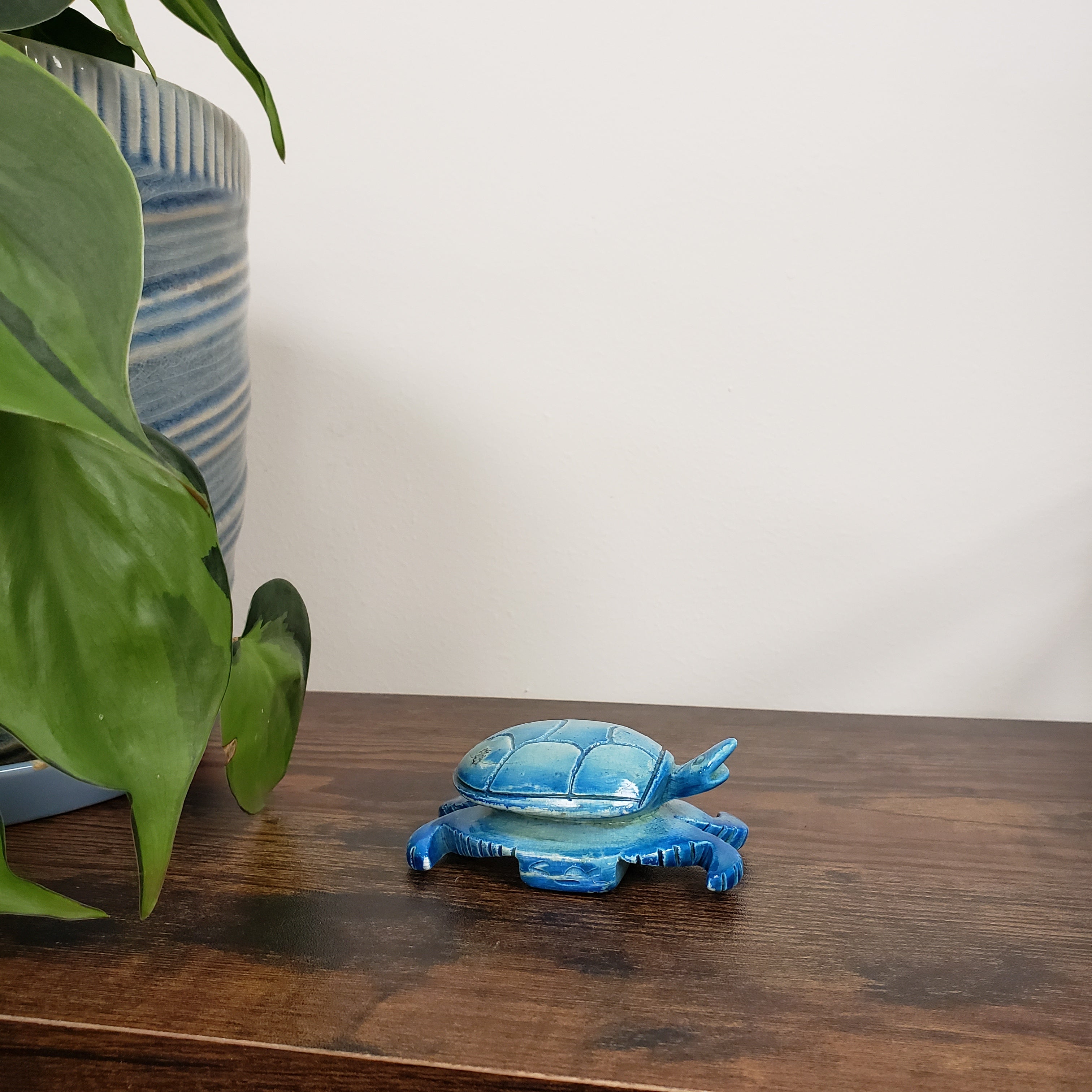 Blue turtle-shaped decorative item on a wooden door with a plant in the foreground.