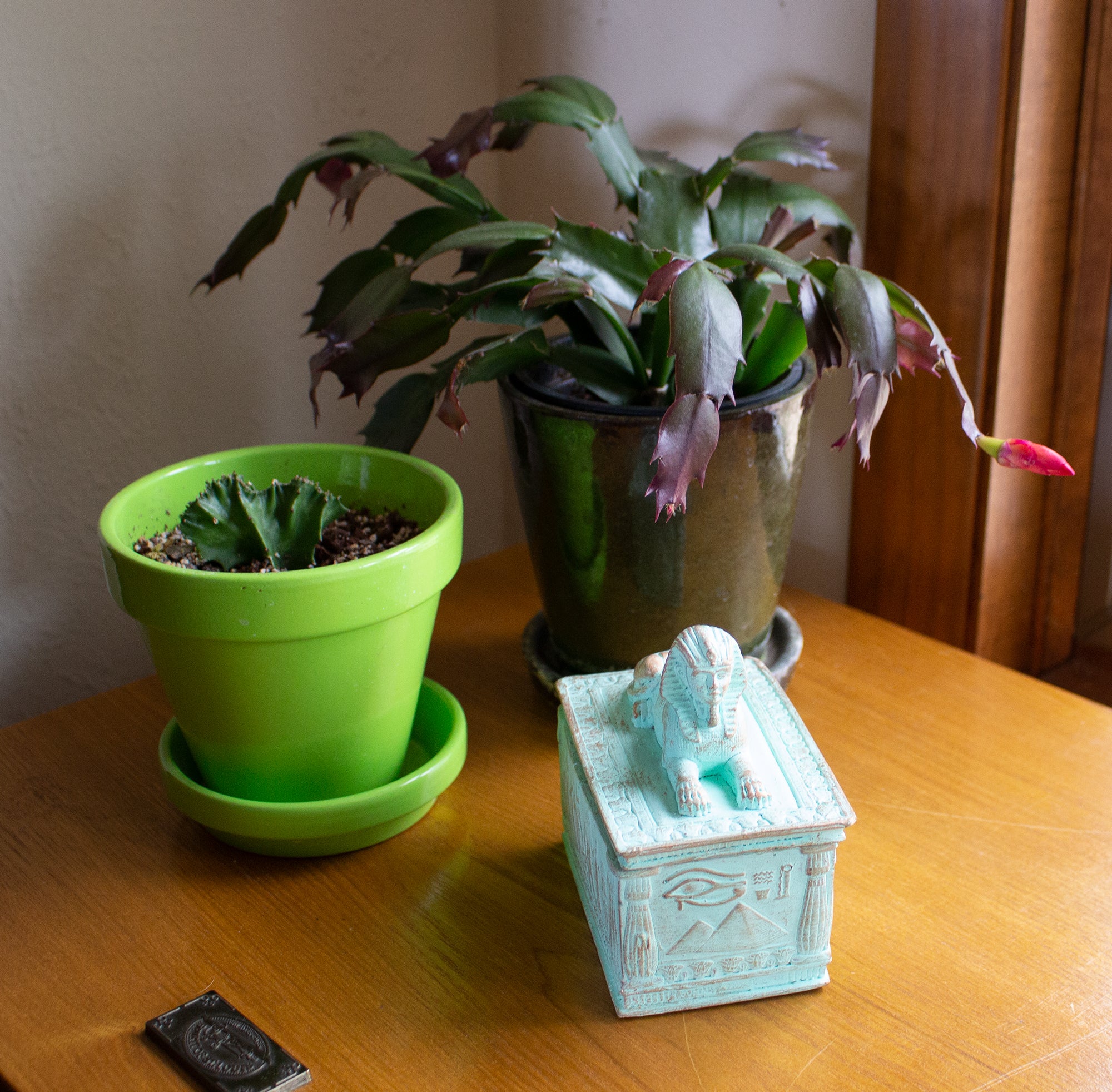 Two potted plants and a decorative box on a wooden surface.
