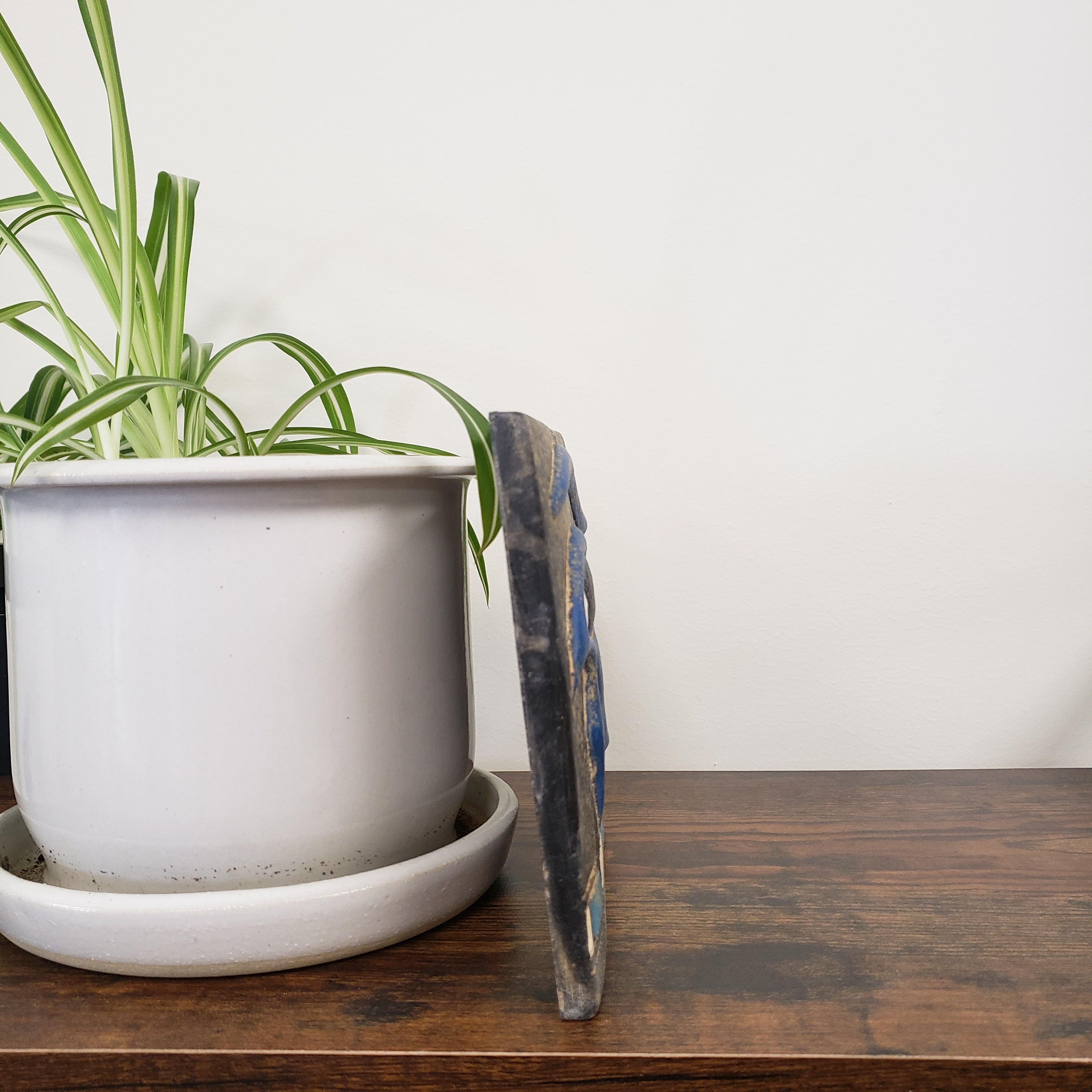 Side view of a plaque leaning against a plant holder on a wooden shelf against a white wall.