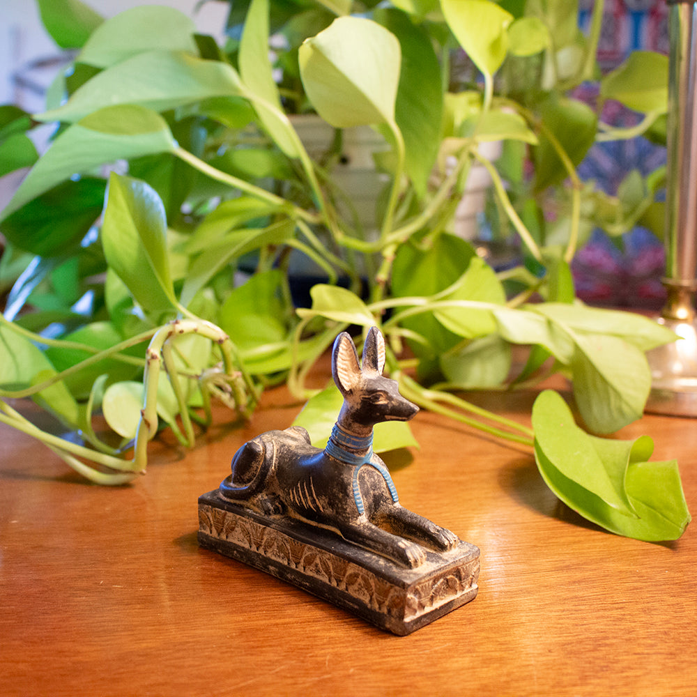 Decorative Egyptian-style jackal statue on a wooden surface with green plants in the background