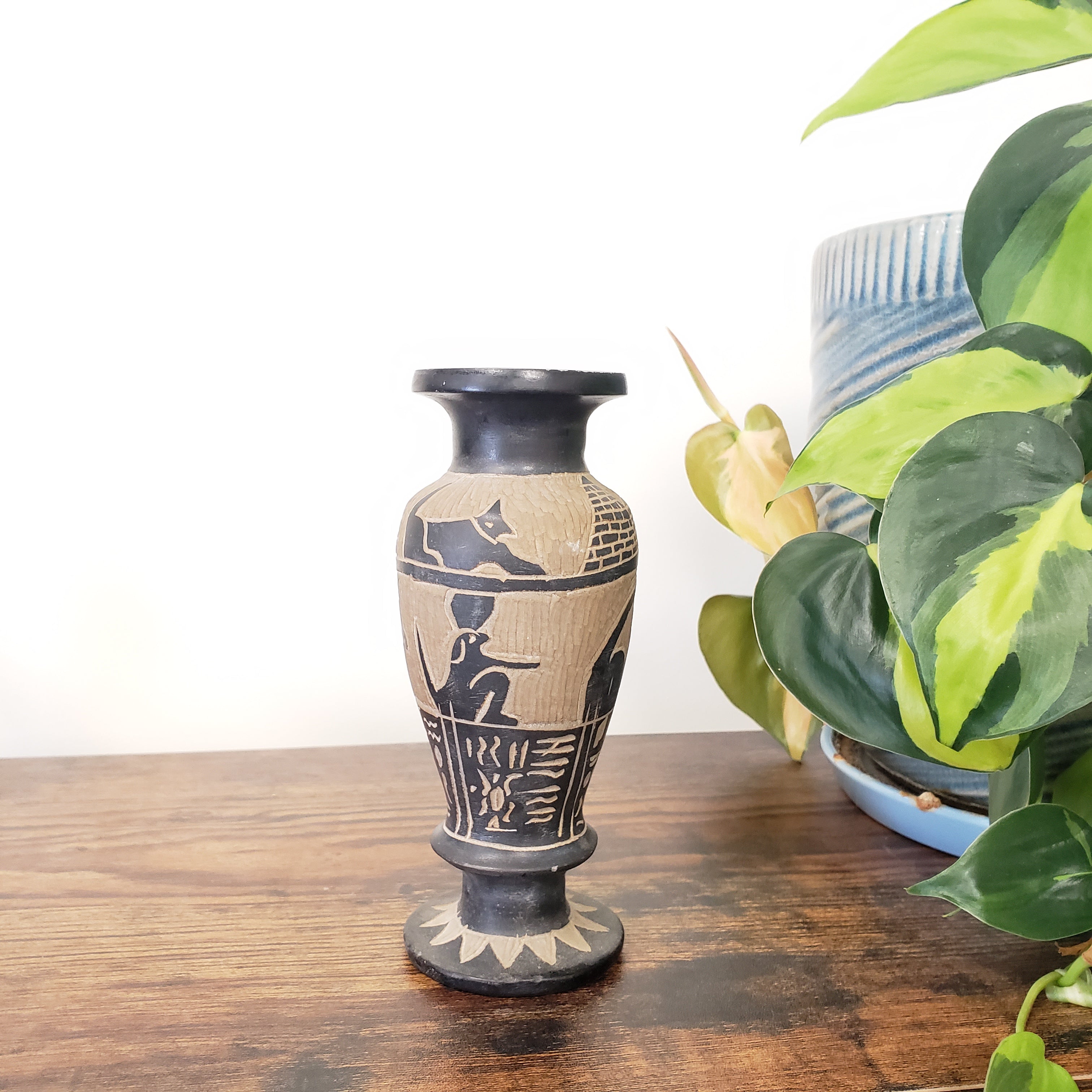 Decorative vase with black and white design on a wooden surface with plants in the background