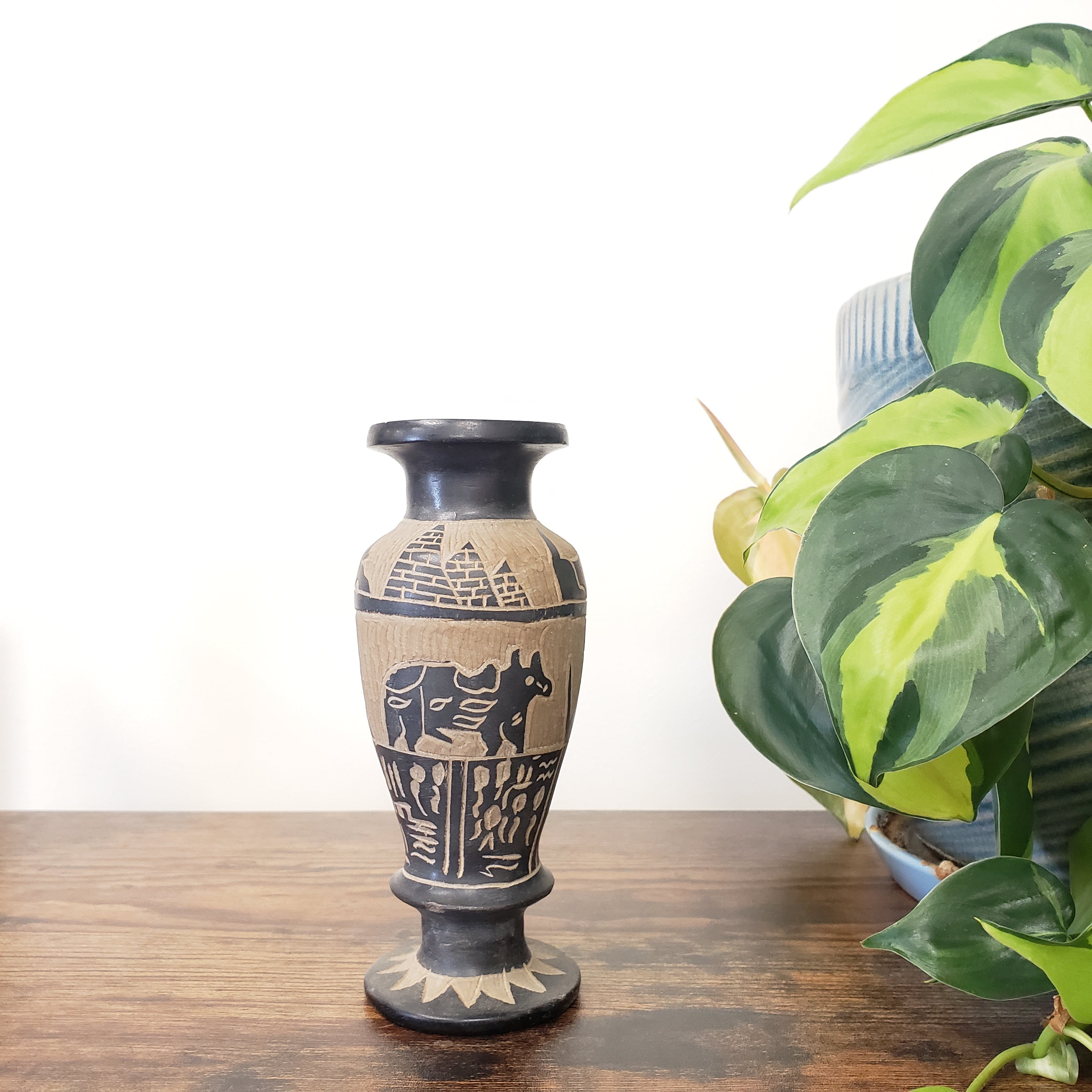 Decorative vase with black patterns on a wooden surface with a plant in the background